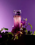 Lancome Tresor Midnight Rose Eau De Parfum 75ML - E11 Store