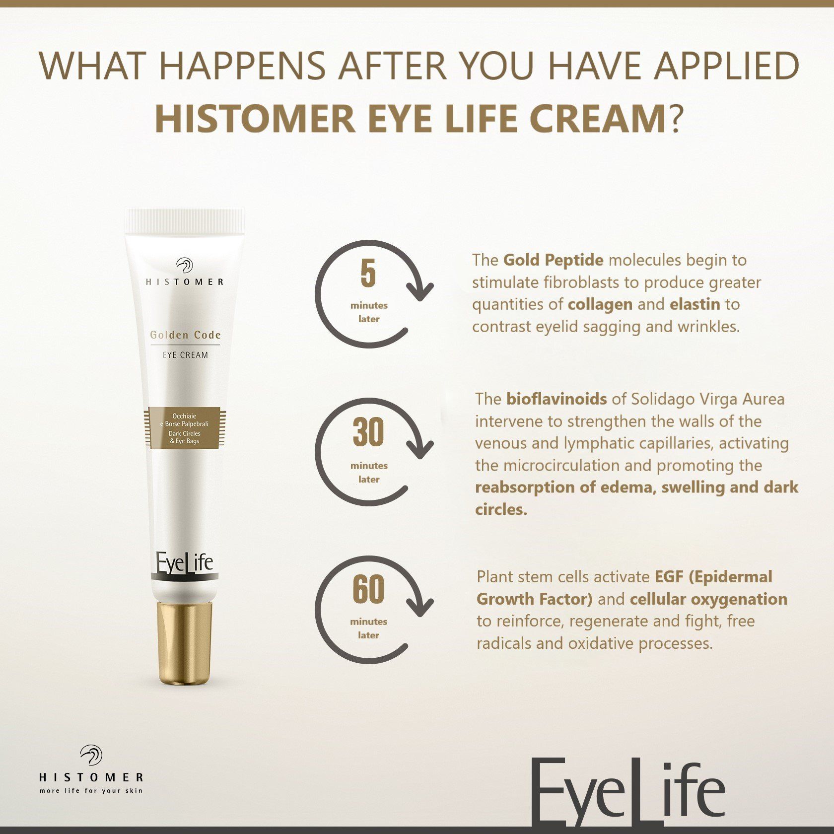 Eye Life Golden Code Eye Cream – Dark Circle & Puffiness Treatment - E11 Store