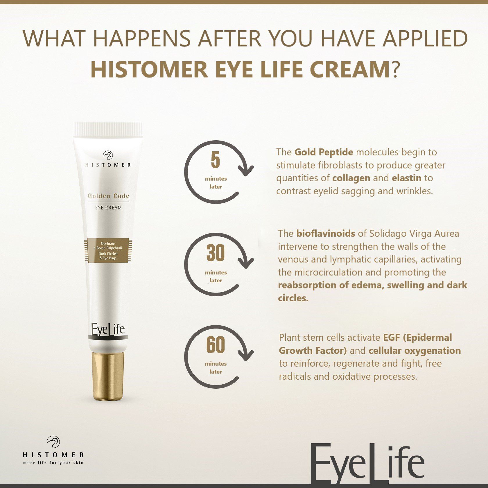 E11 Store, Histomer Eye Life Golden Code Eye Cream
